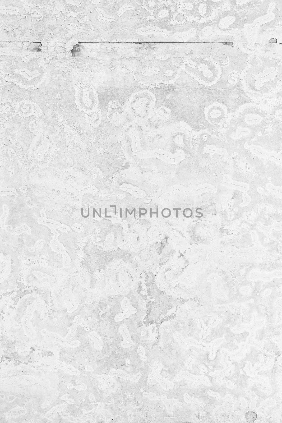 Grunge white background cement old texture wall