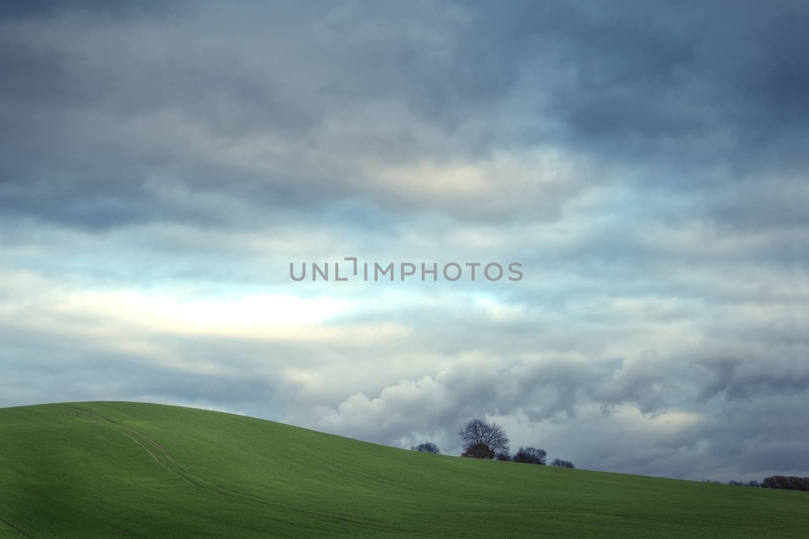 Nature. Storm over green field.