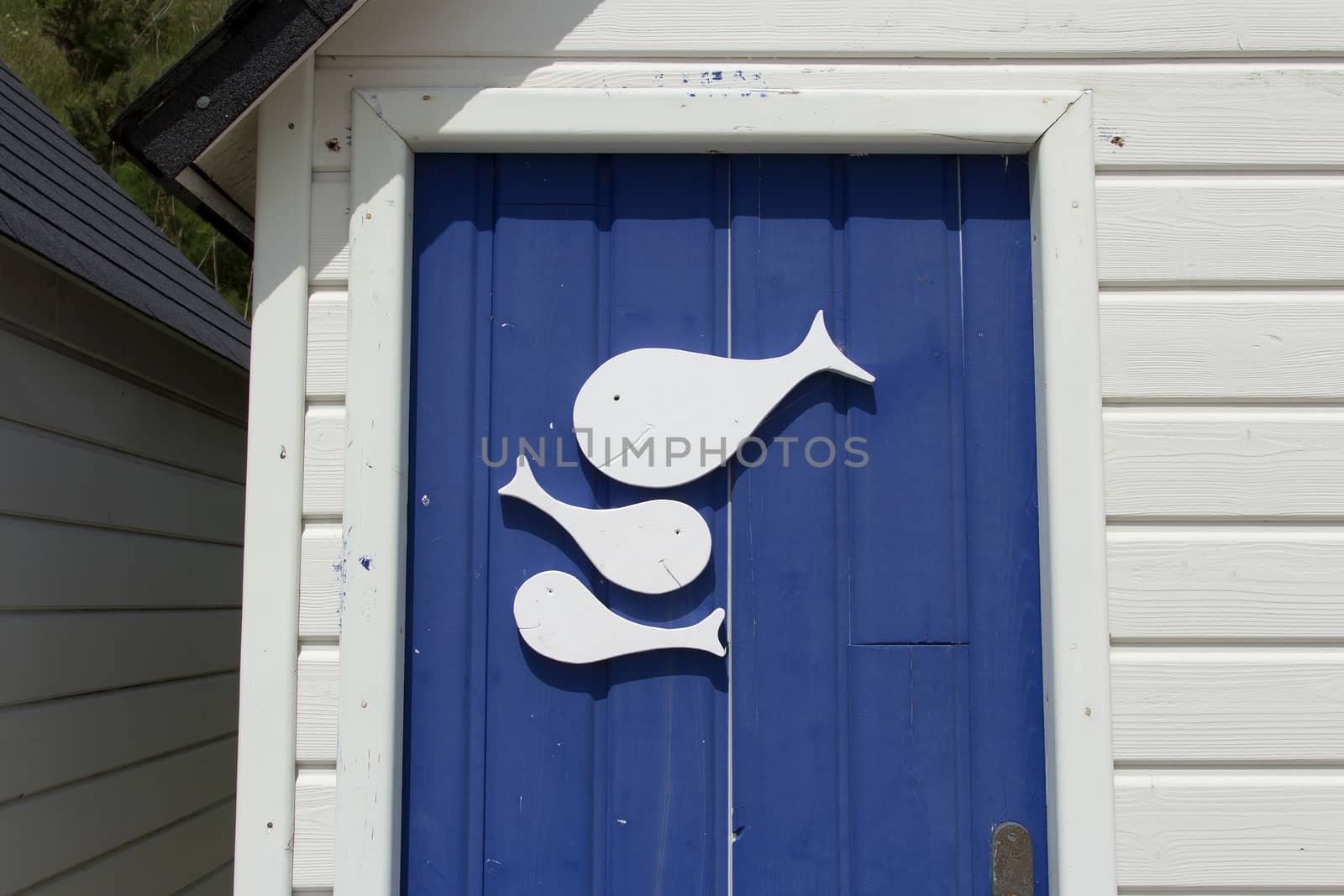 A detail photo of fishes on a door on a beach cabin in France