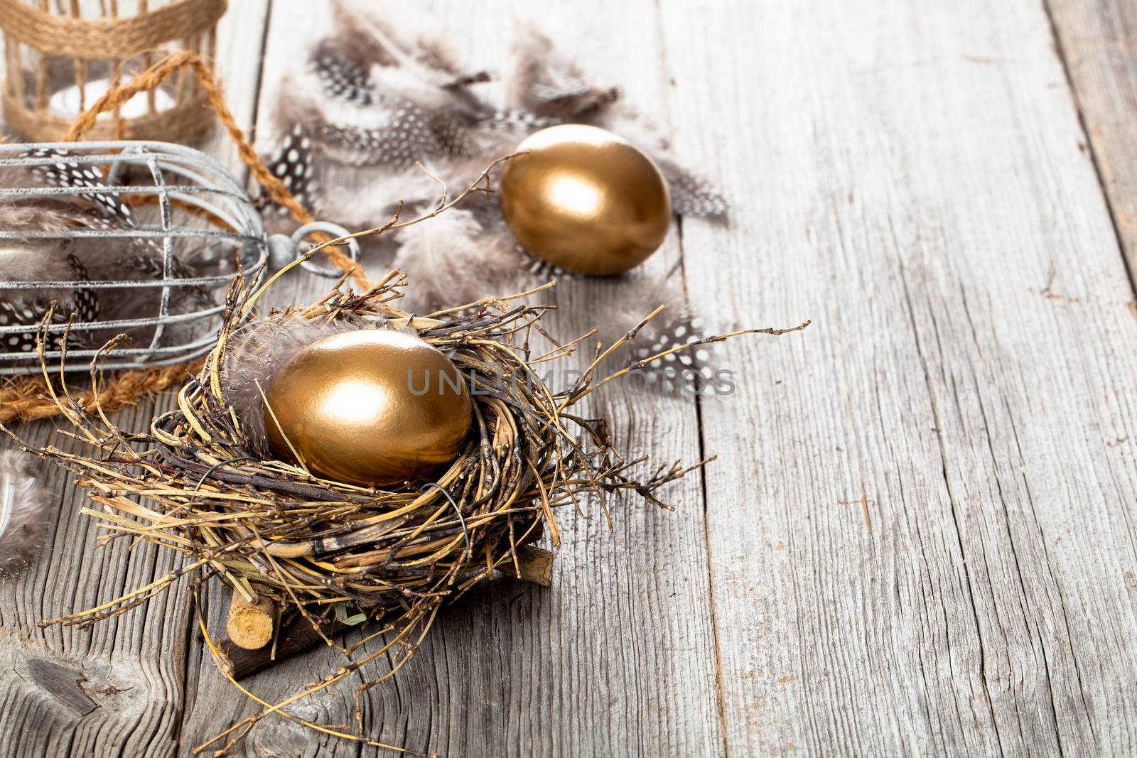 golden egg in nest, on wooden background