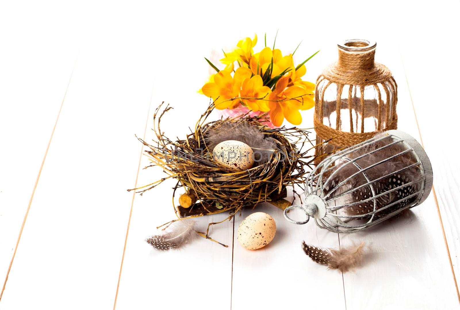 Easter eggs nest with birdcage and yellow Spring Crocus. on white wooden background