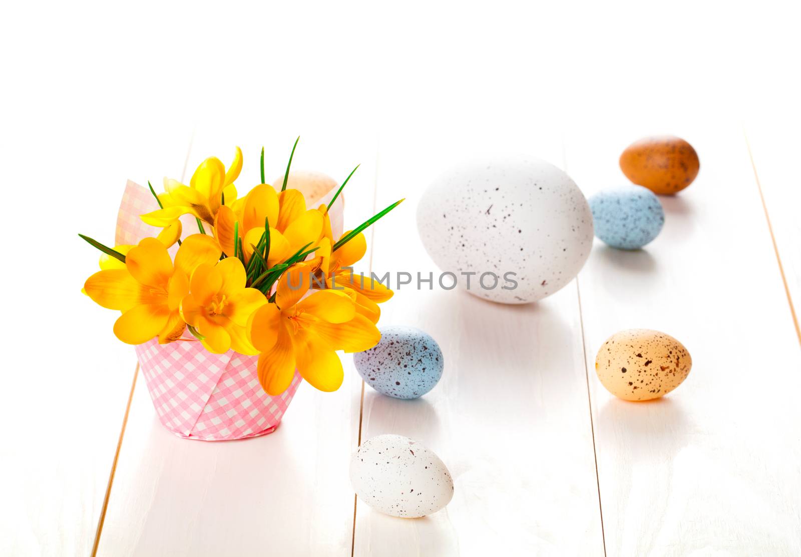 crocus flowers on white wooden background, spring decoration with easter eggs