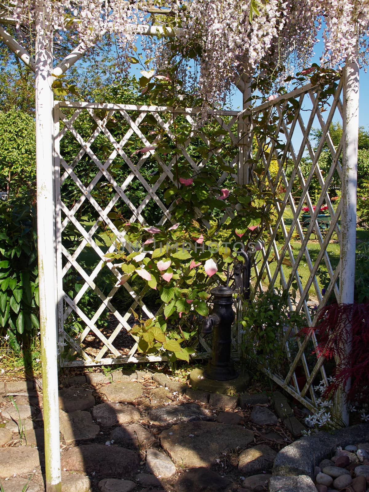 Pergola gazebo in a beautiful garden by Ronyzmbow