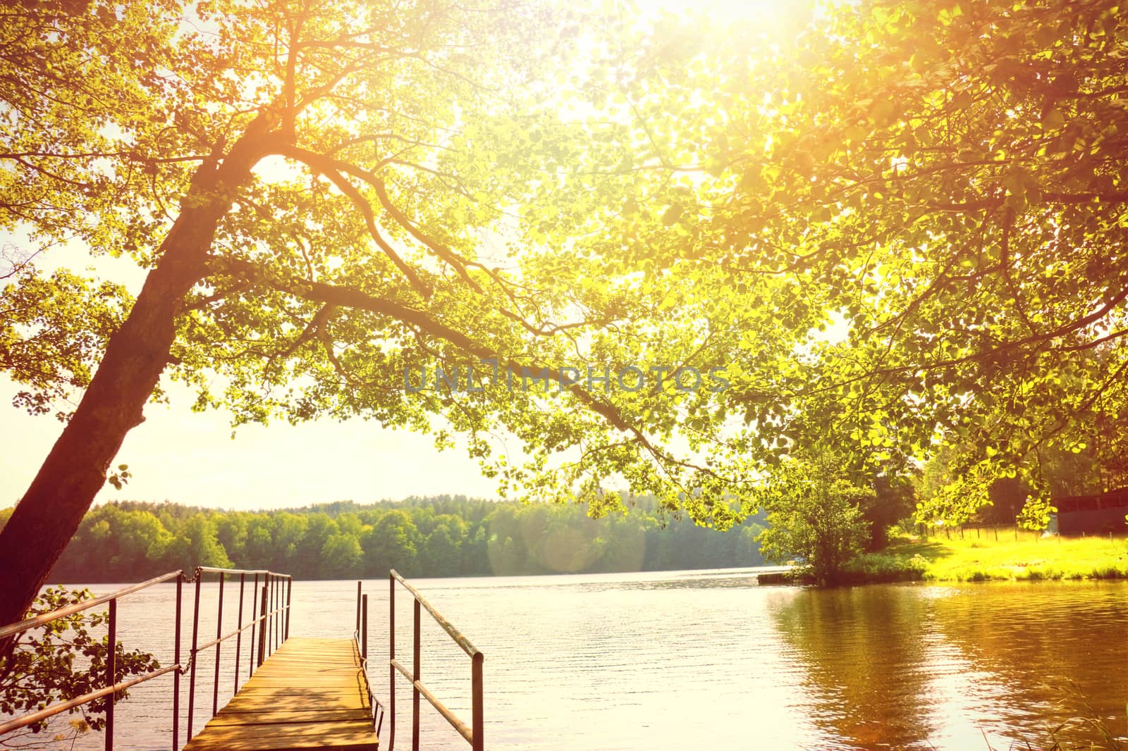 Beautiful bright day summer scenery. Lake and trees.