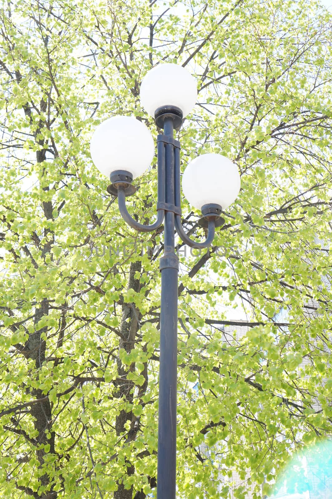 Street lamp in the form of white glass balls on background of green foliage