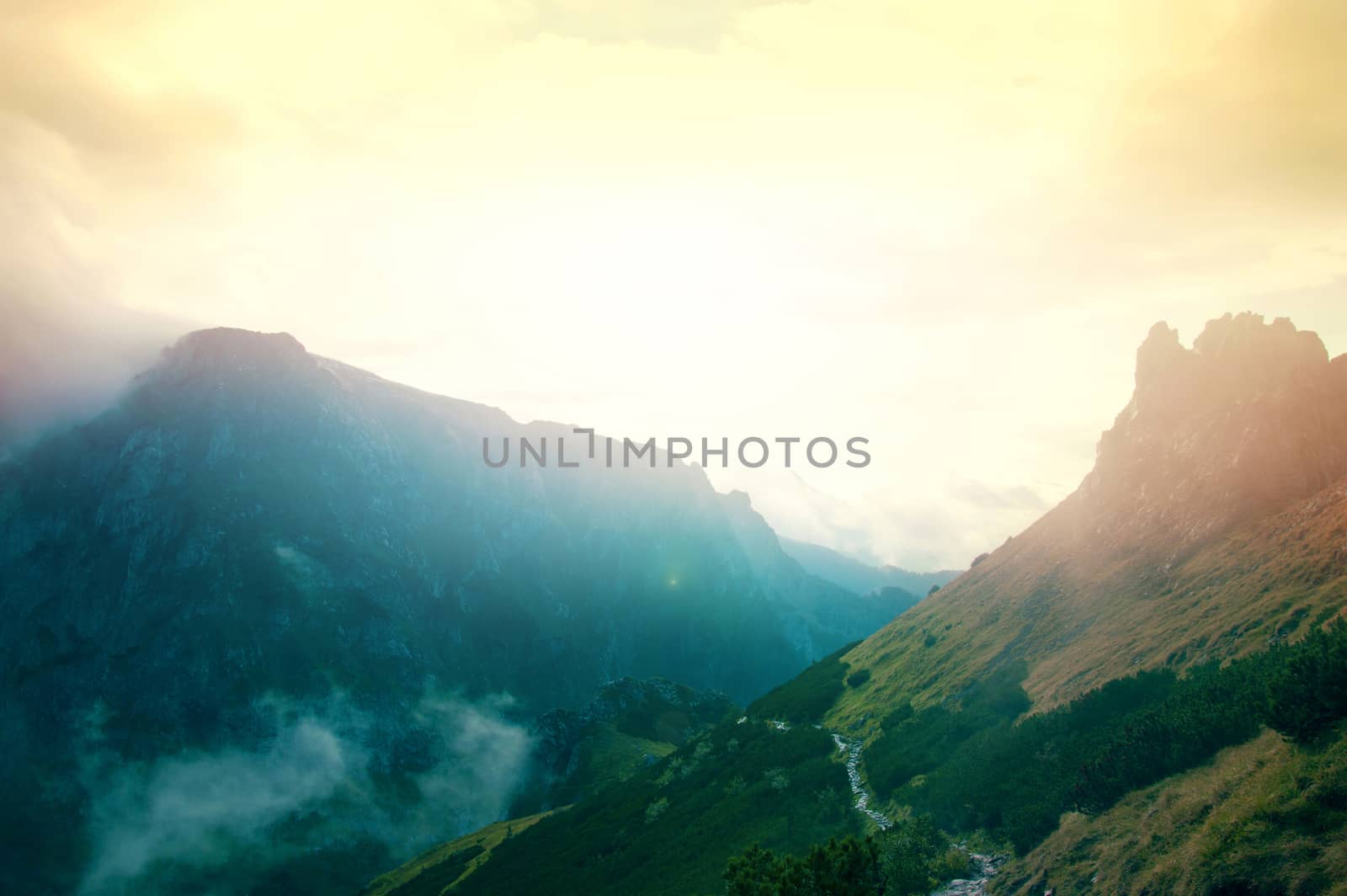 Fog in mountains. Fantasy and colorfull nature landscape. Nature conceptual image.