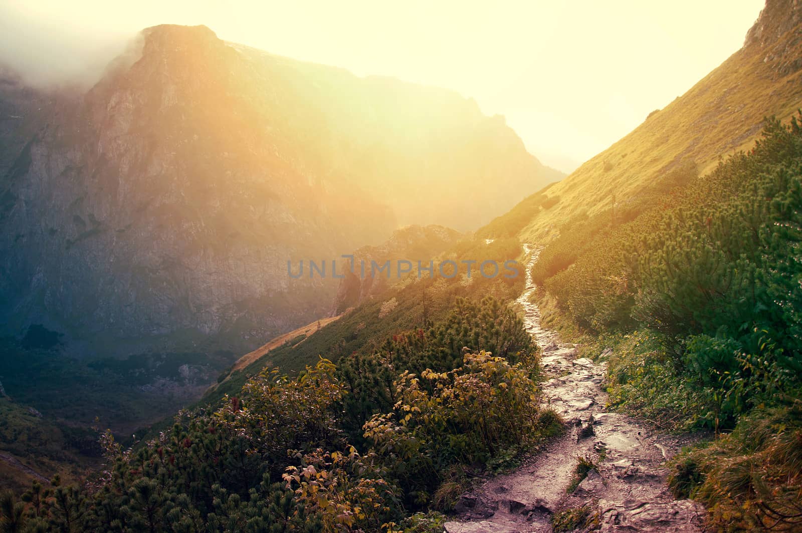 Path in beautiful mountains at sundown. Nature conceptual image.