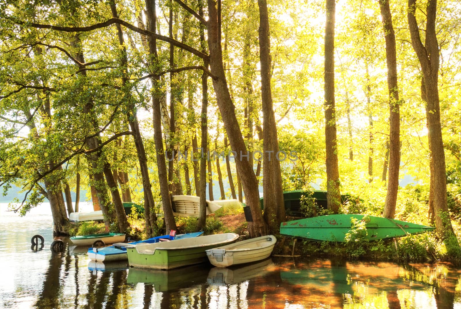 Nature summer landscape. Wonderful lake and boats between the trees.