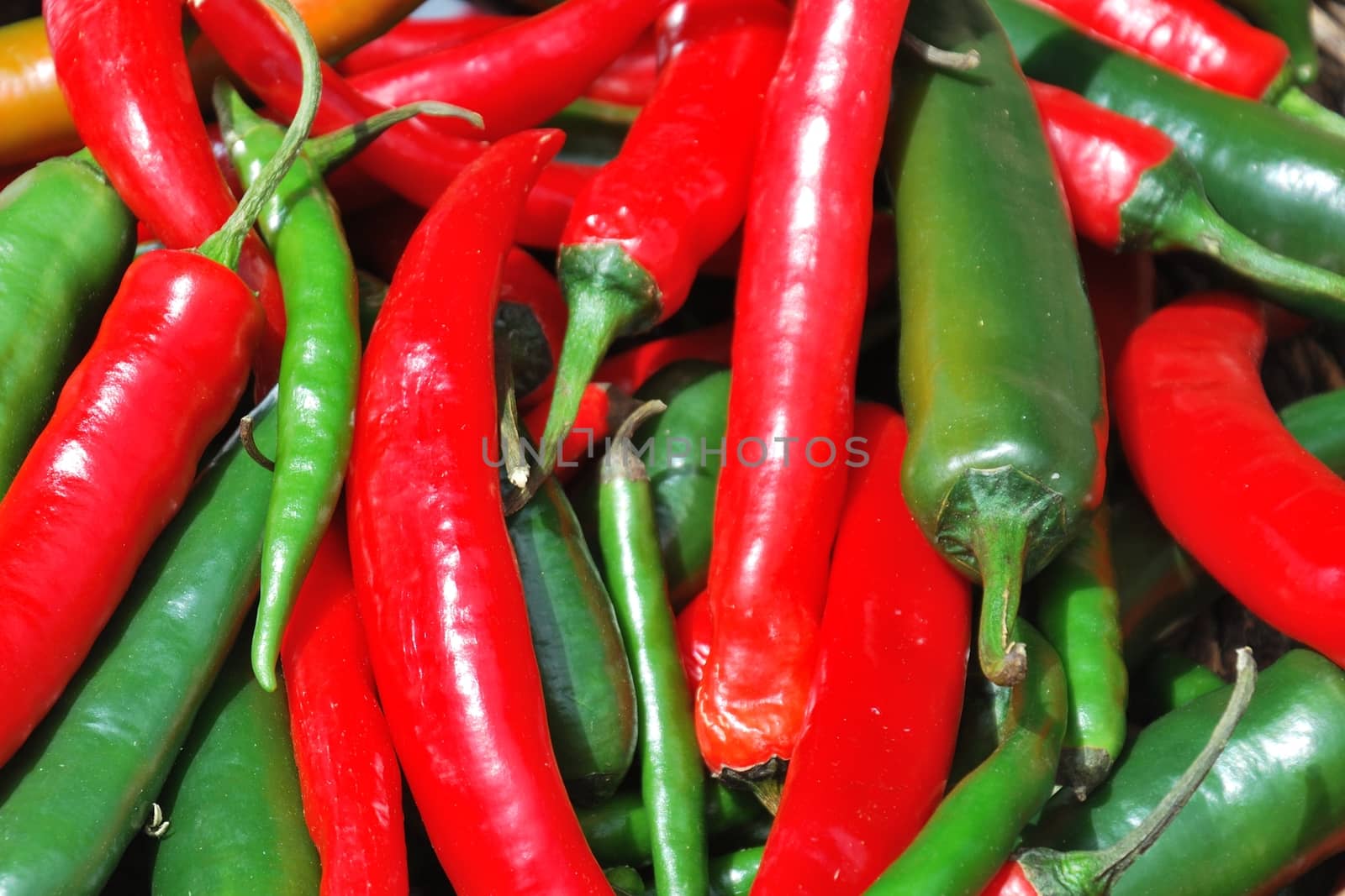 Red and Green Chilli hot  peppers by pauws99