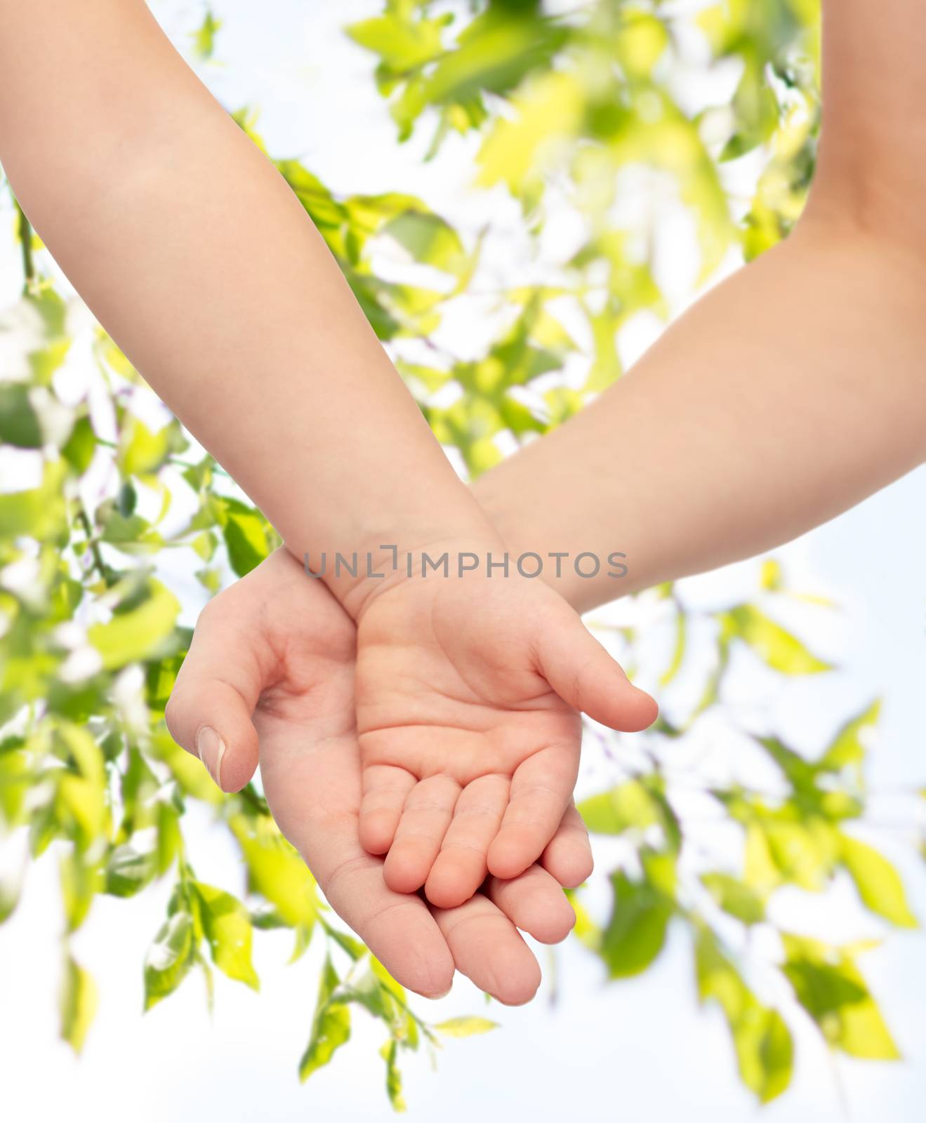 close up of woman and little child hands together by dolgachov