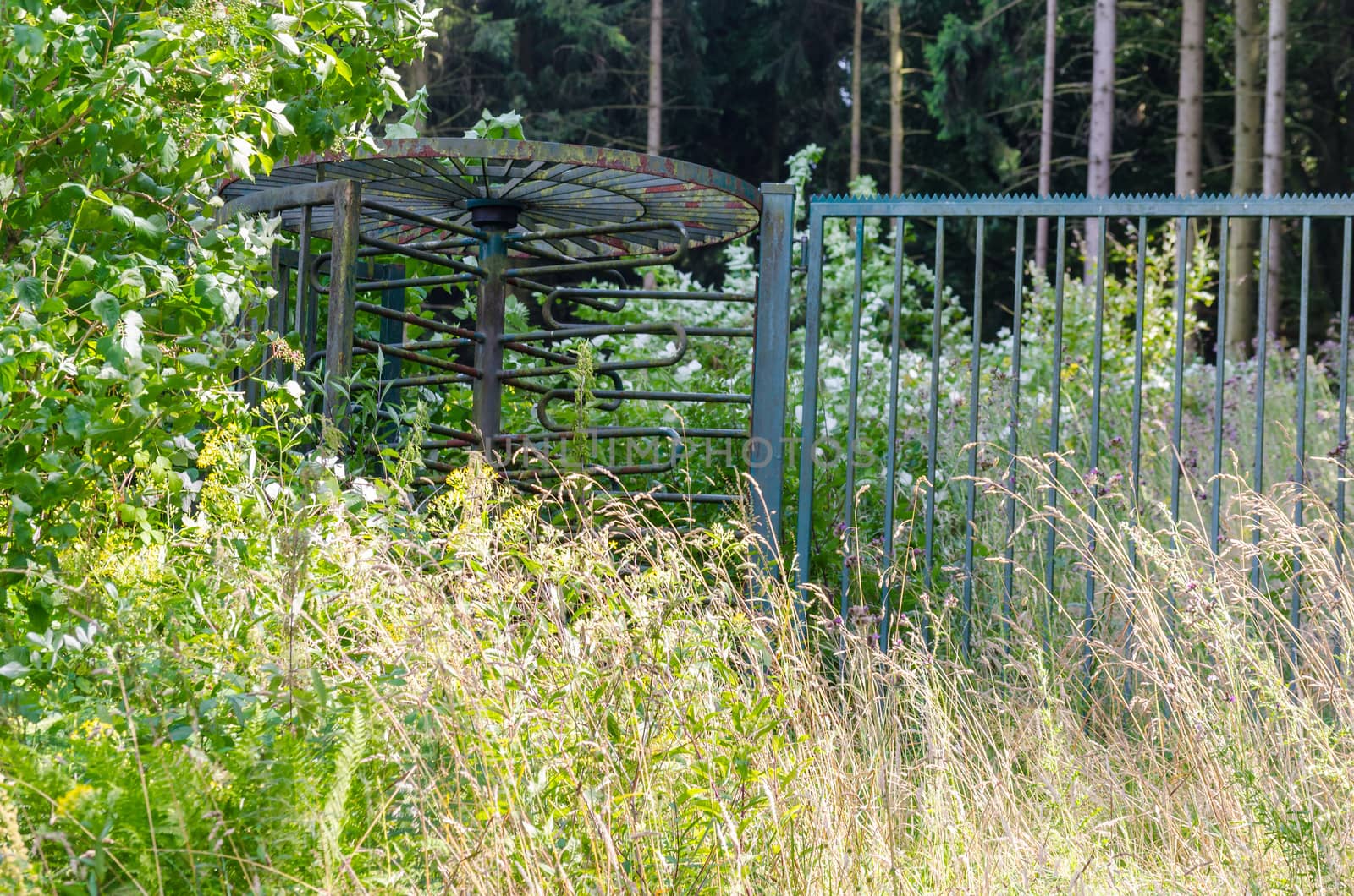 Overgrown with old gate with revolving door to a park.