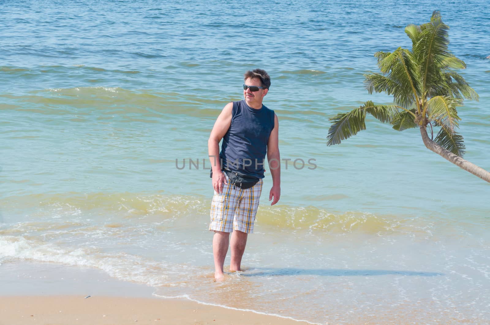 View of a beach in the background the sea and a palm tree.