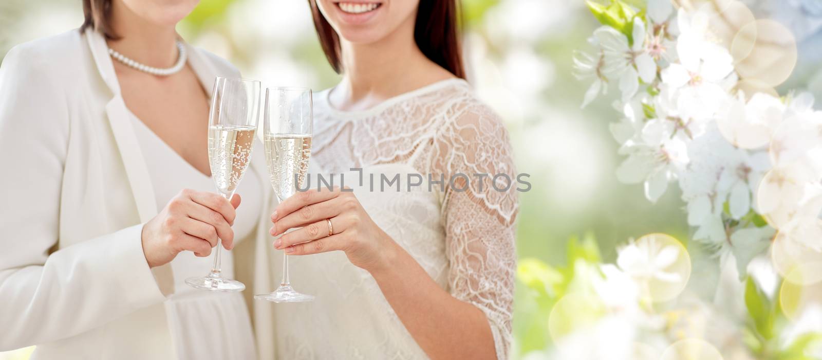 people, homosexuality, same-sex marriage, celebration and love concept - close up of happy married lesbian couple holding and clinking champagne glasses over green background