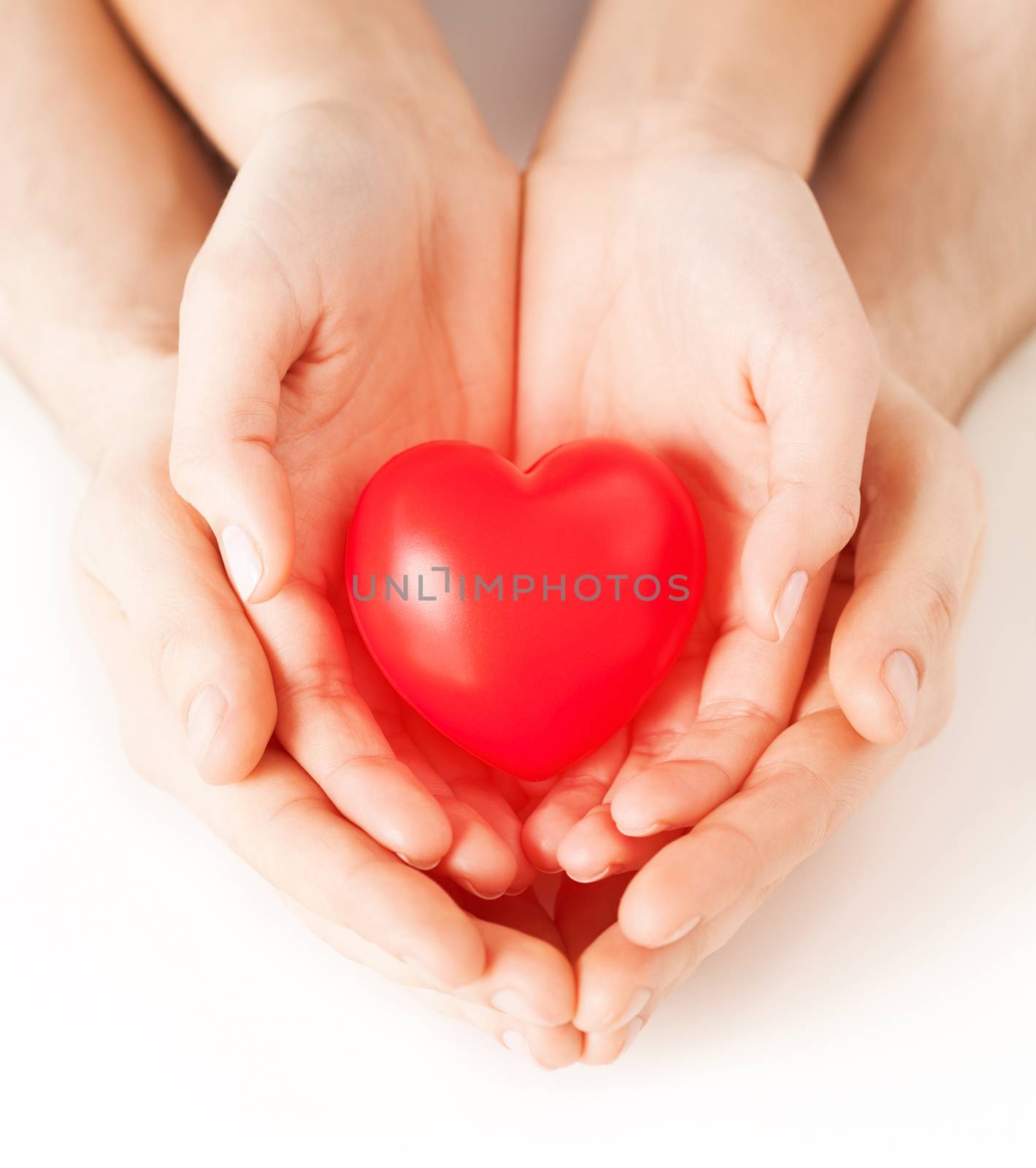 couple hands holding red heart by dolgachov