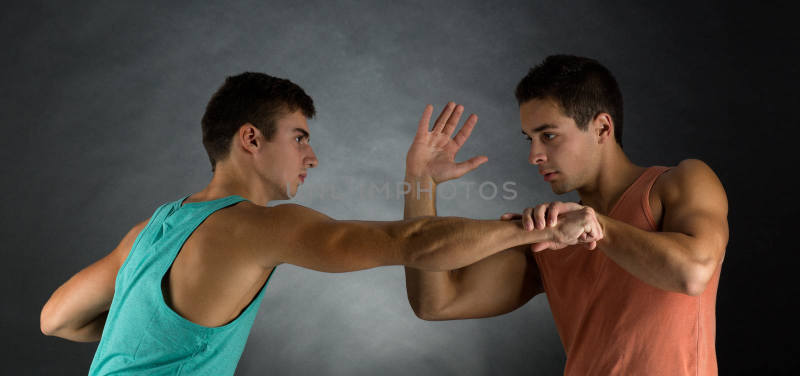 young men wrestling by dolgachov