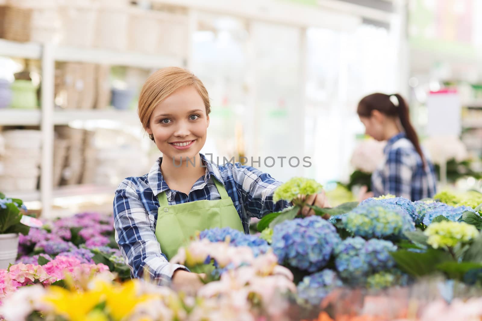 happy woman taking care of flowers in greenhouse by dolgachov