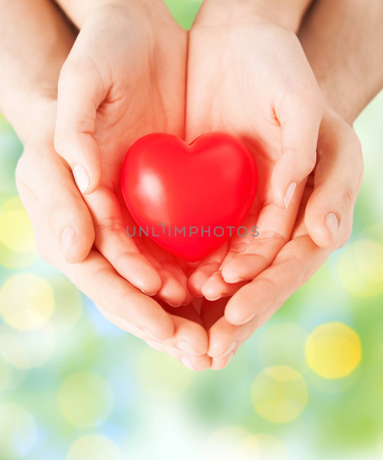 close up of couple hands holding red heart by dolgachov