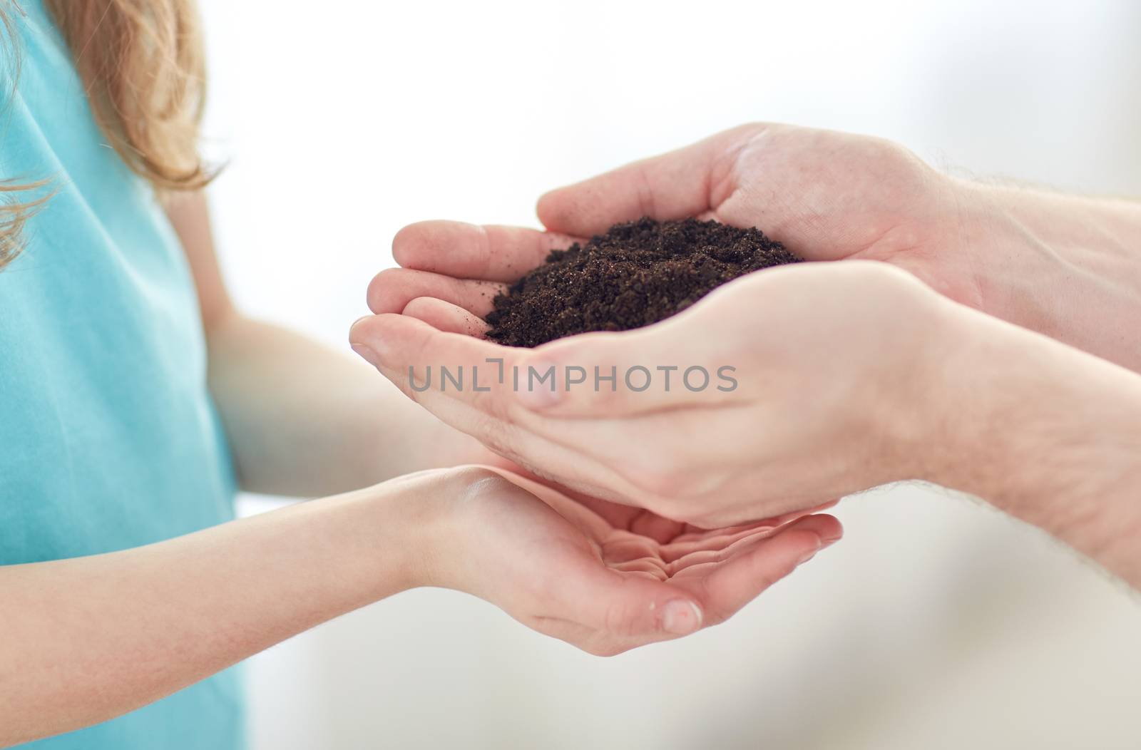 close up of father and girl hands holding sprout by dolgachov