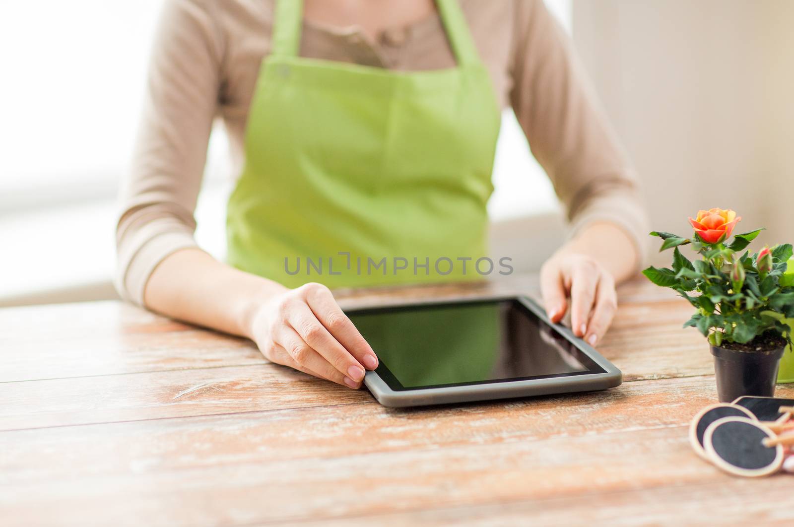 close up of woman or gardener with tablet pc by dolgachov