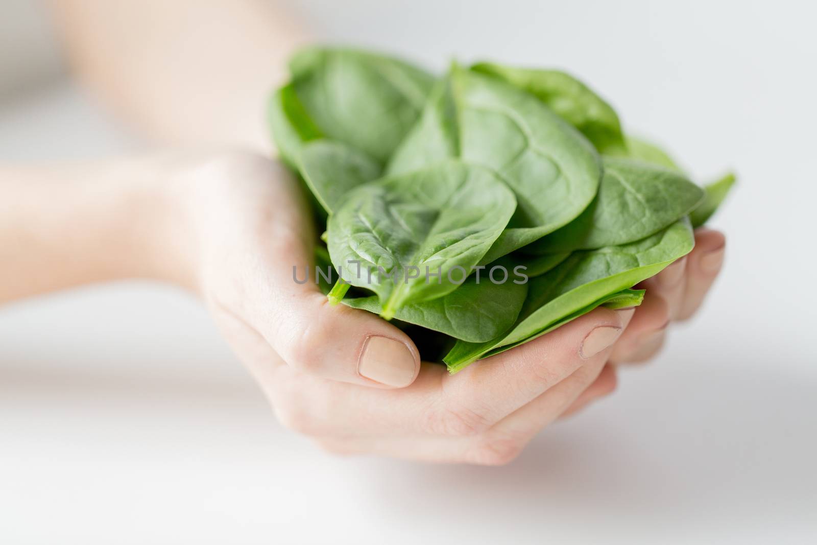 healthy eating, dieting, vegetarian food and people concept - close up of woman hands holding spinach at home