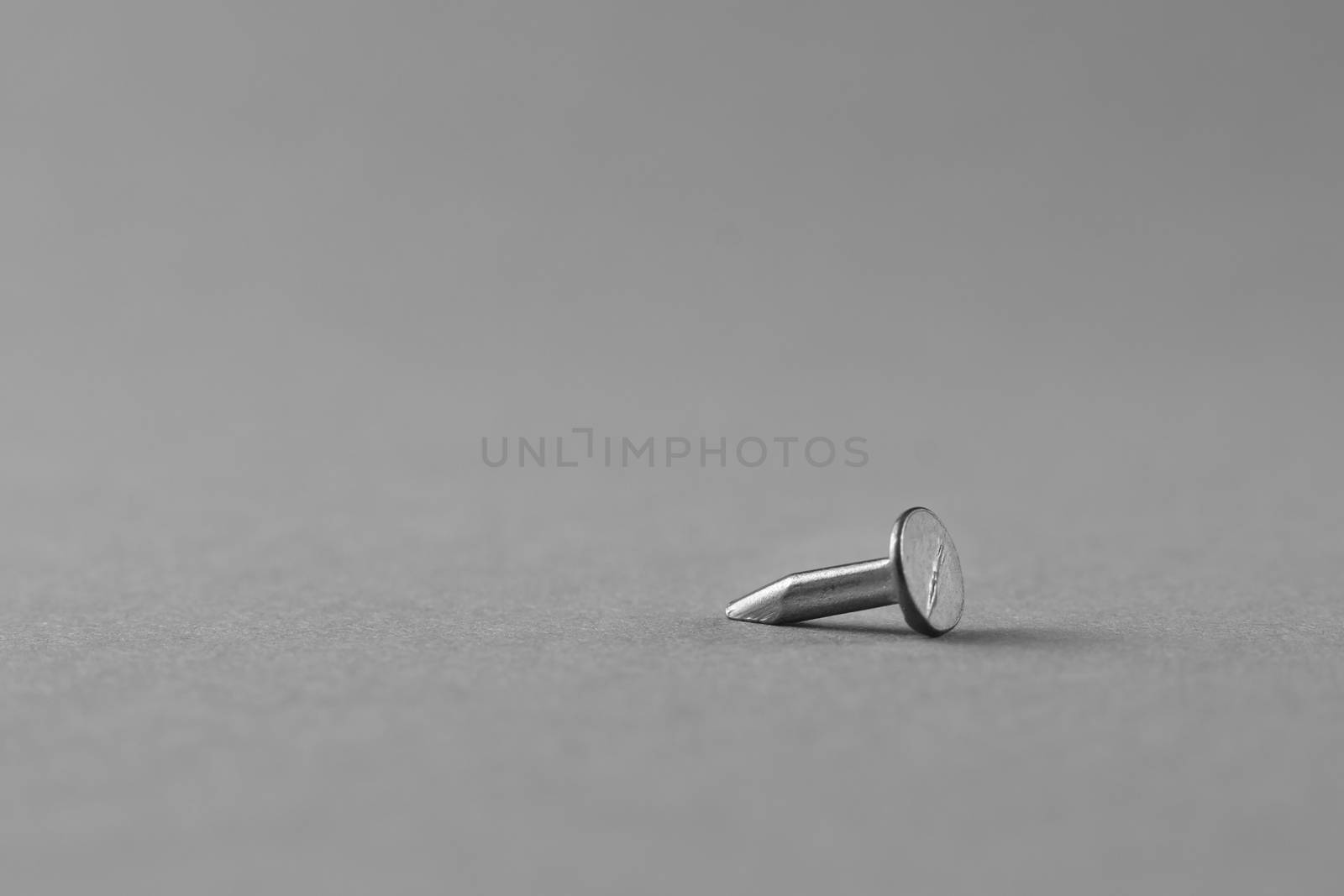 Galvanized nail isolated on a grey background