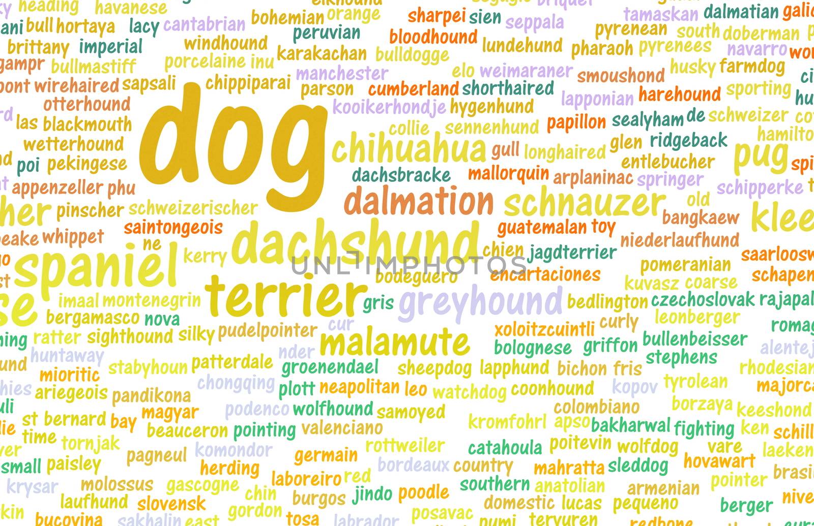 All Types of Dogs and Every Breed as Concept