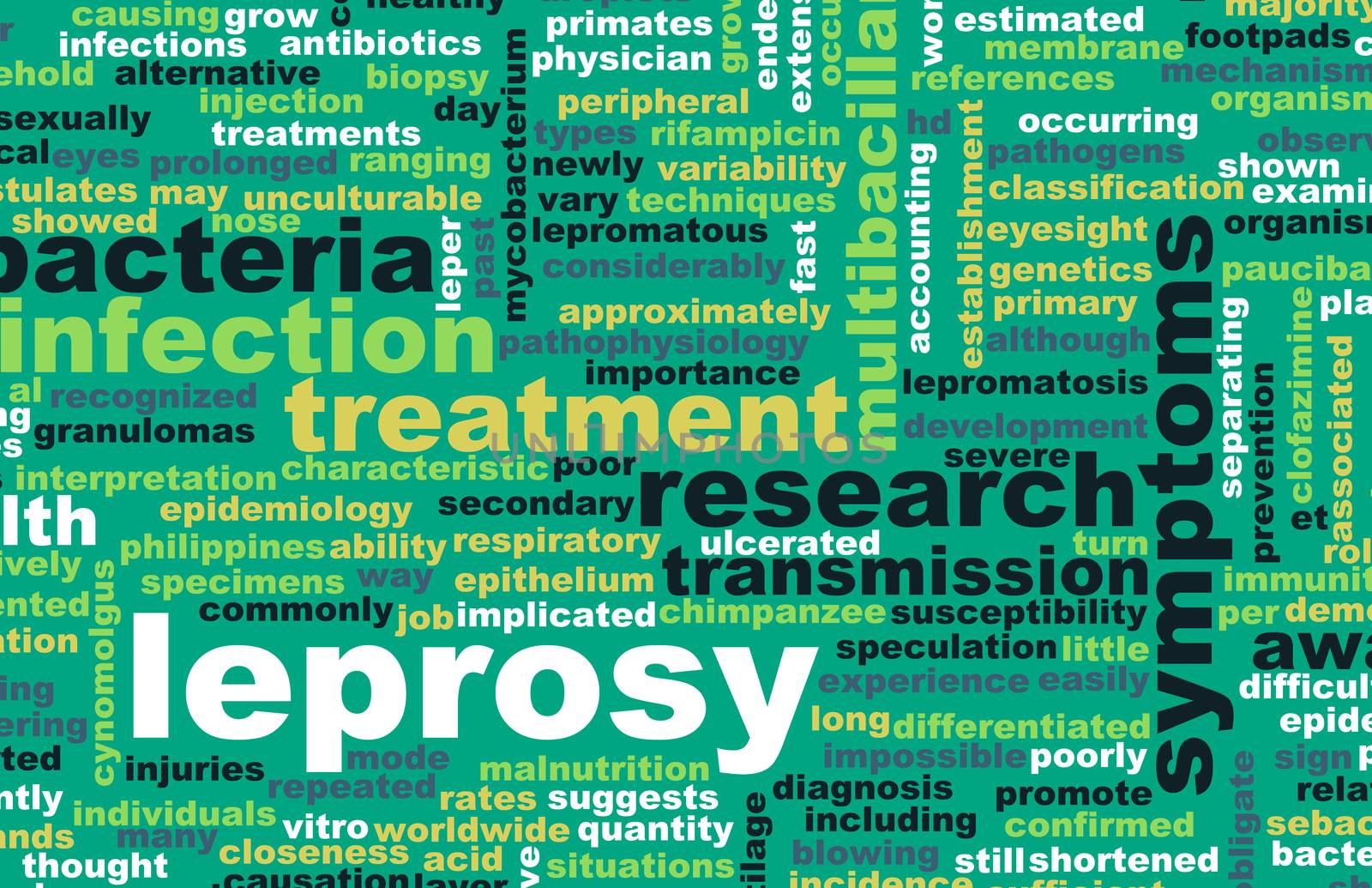 Leprosy Treatment and Research as a Concept