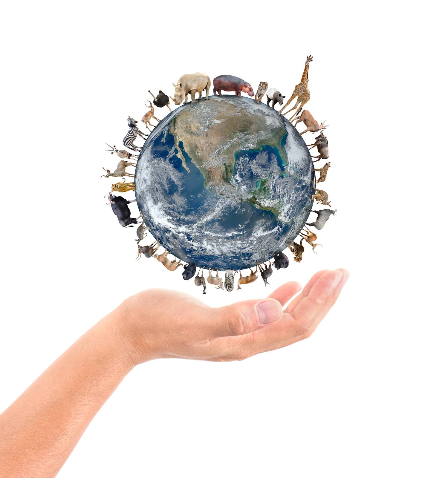 animal stand around the world on the hand, Element of this image are furnished by NASA