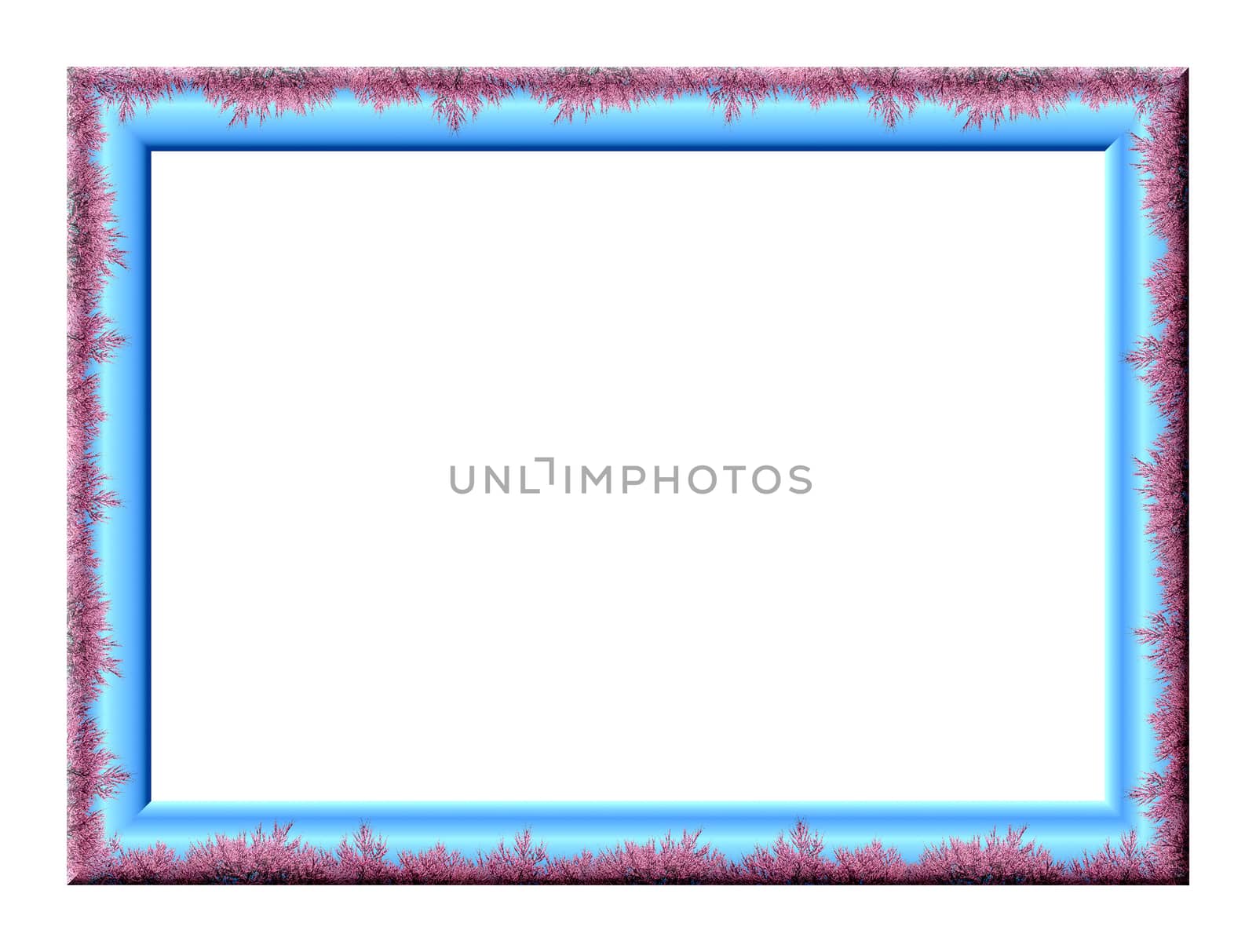 The rectangular blank embossed photo frame with a picture of plum blossoms on a blue background, isolated on a white background
