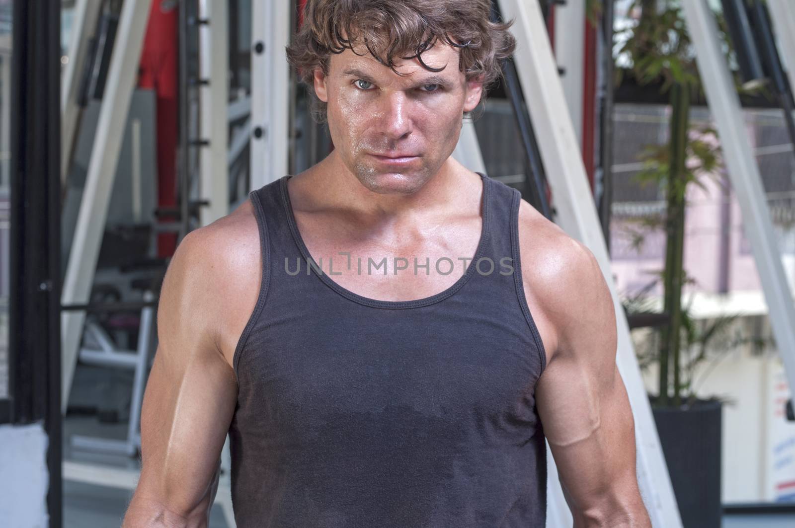 Muscular sweaty Caucasian man with intense expression looking at camera and wearing tank top in gym