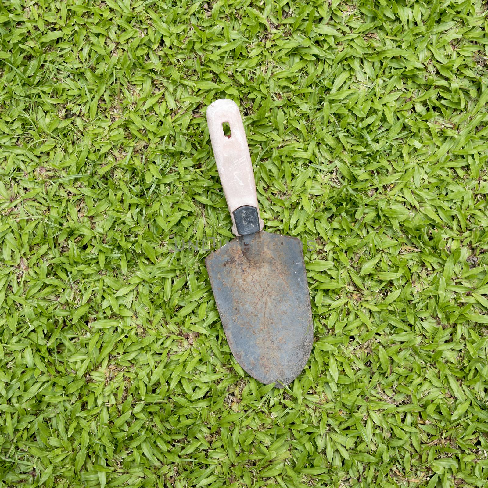 shovel on grass background