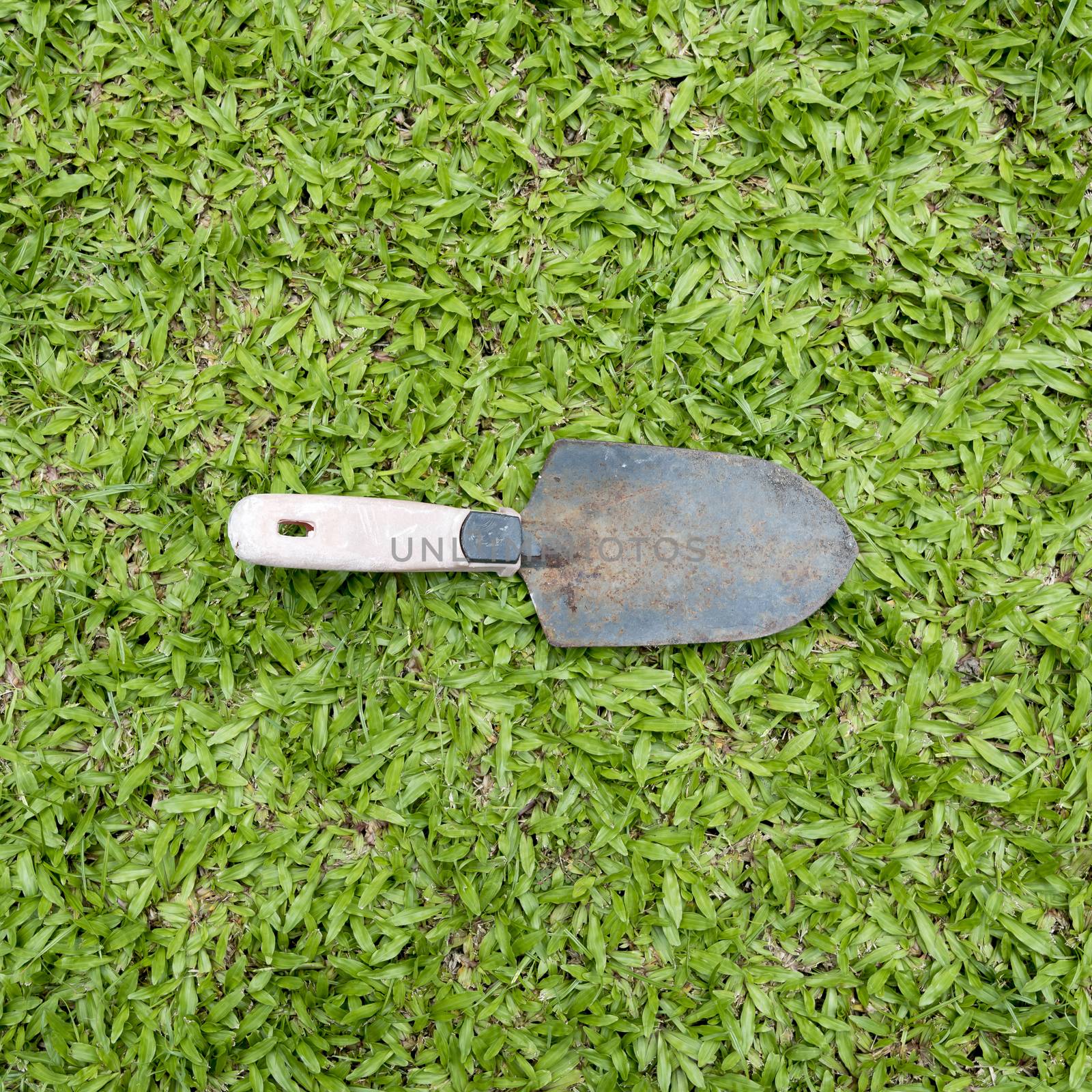 shovel on grass background