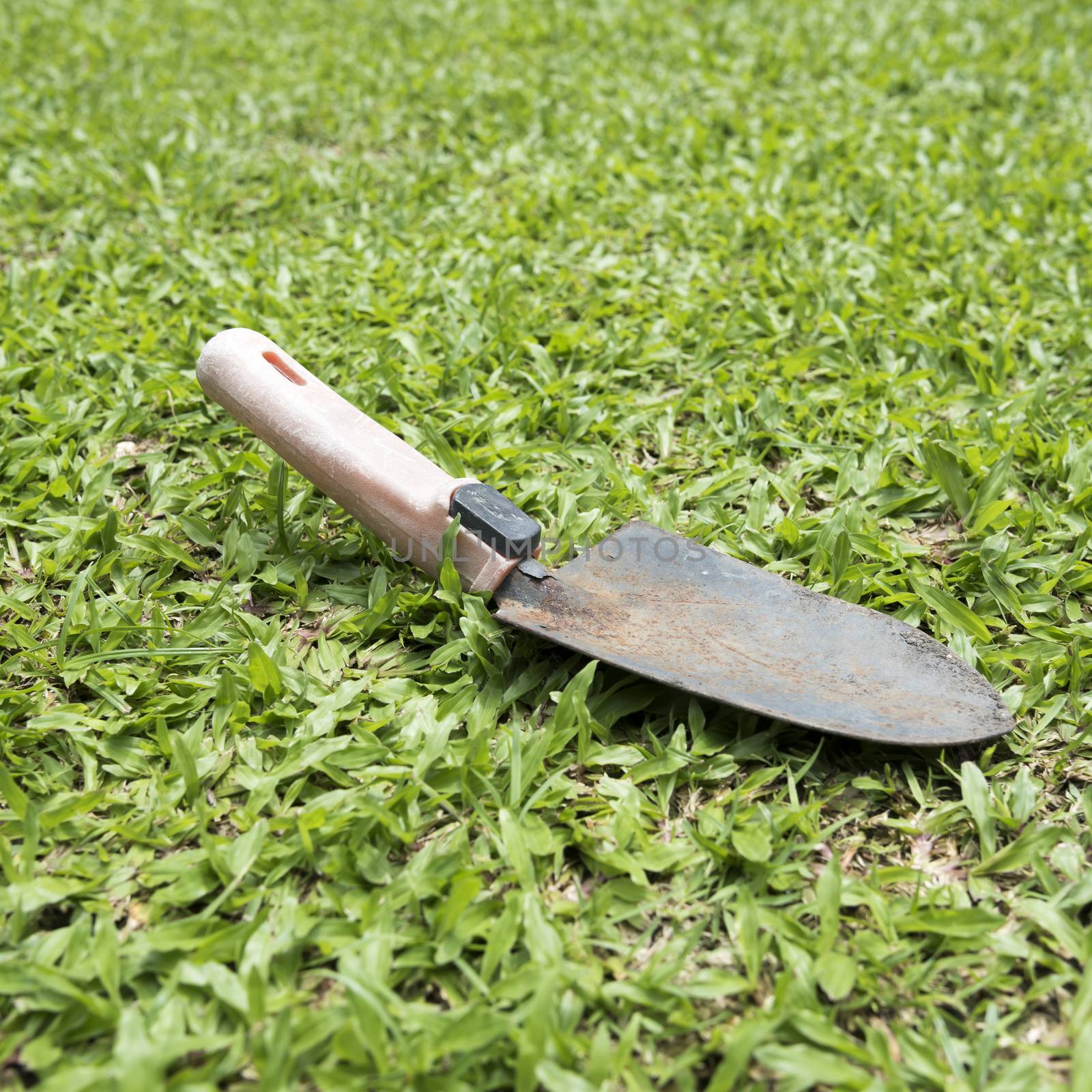 shovel on grass background