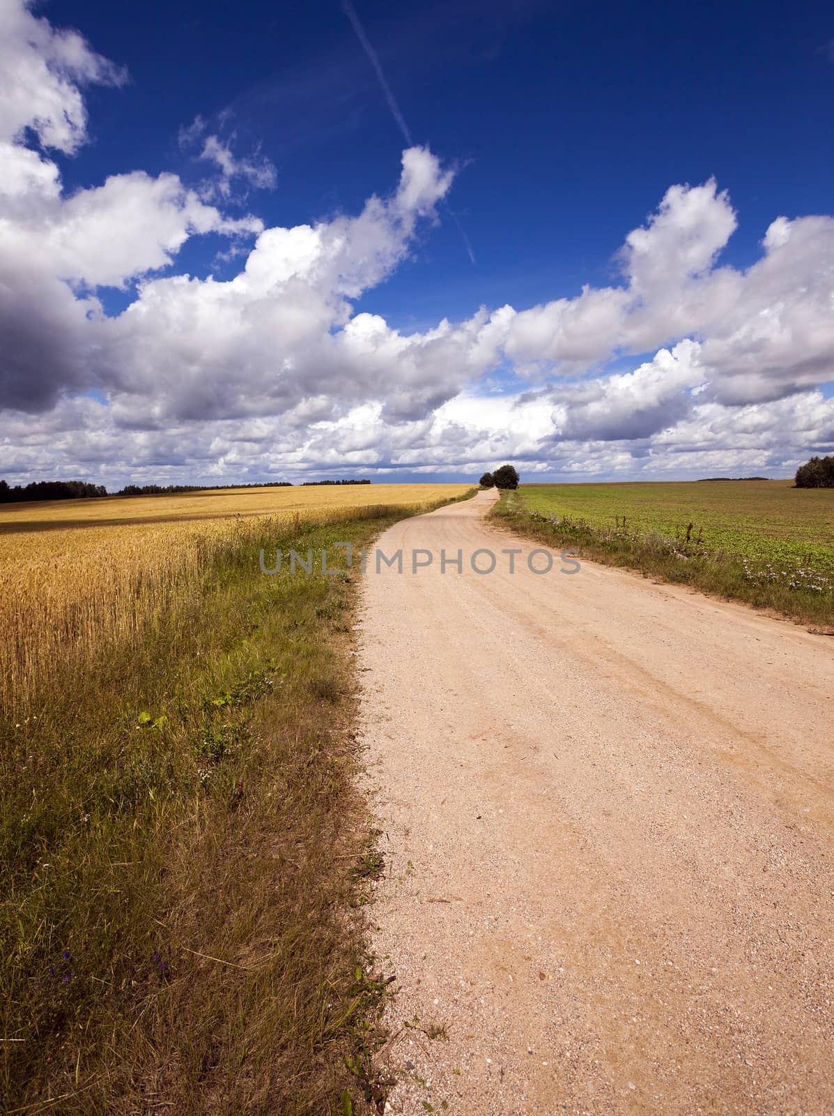 rural road  by avq