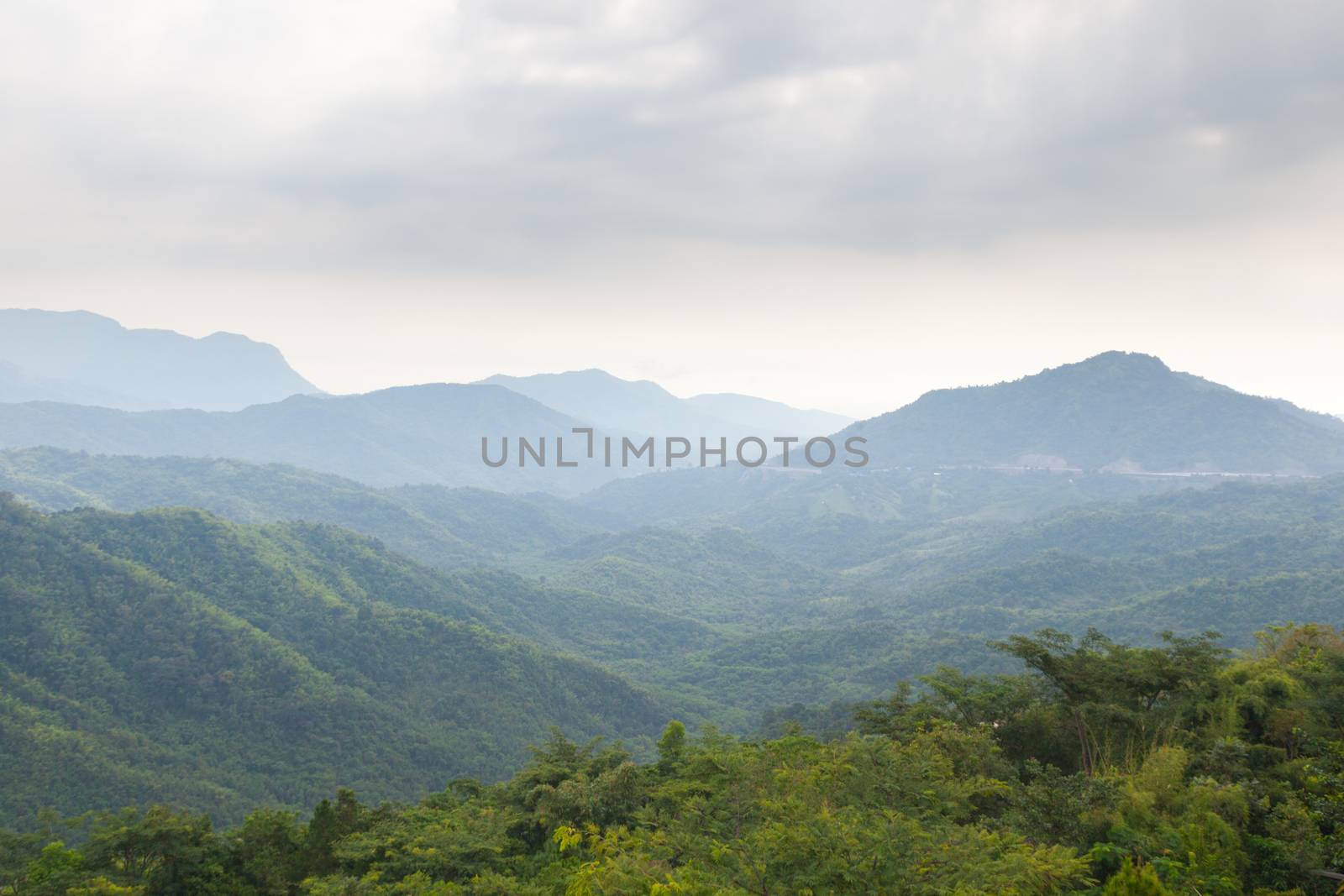 forest and mountain. The tree-covered slopes of the mountain area. Fertile area