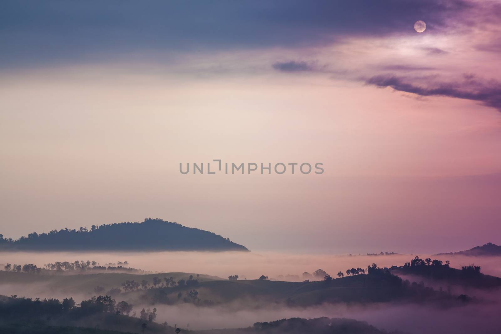 Sunrise and mist. Fog covered mountains and forest in the morning.