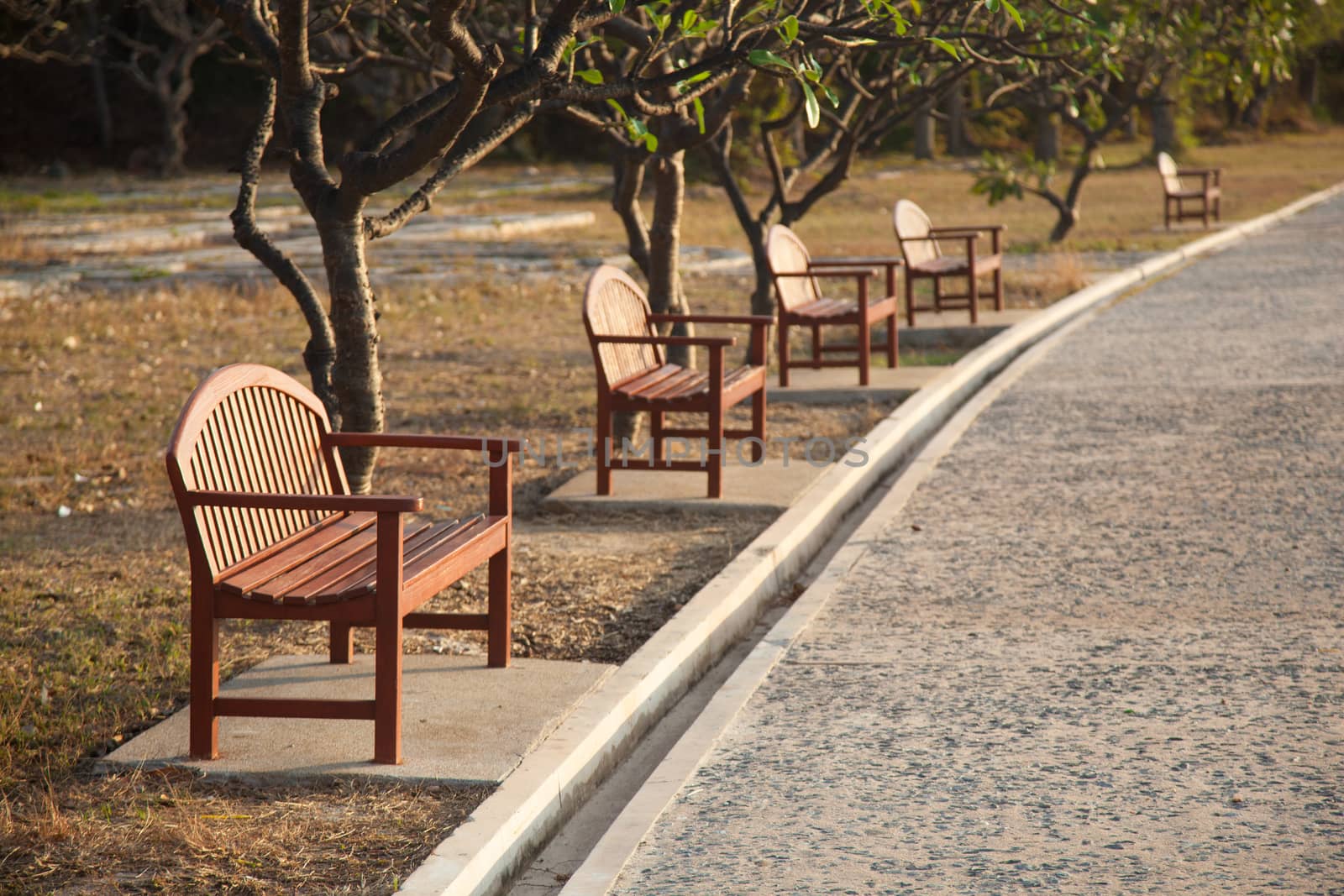 Benches along the sidewalks. The benches under the trees along the sidewalks.