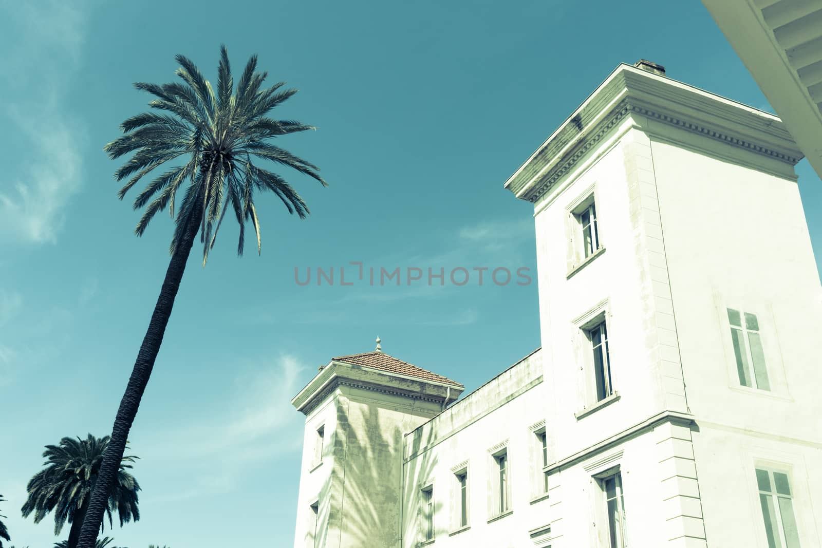 Vintage image swaying palm and art nouveau building Cannes, France. French Riviera.