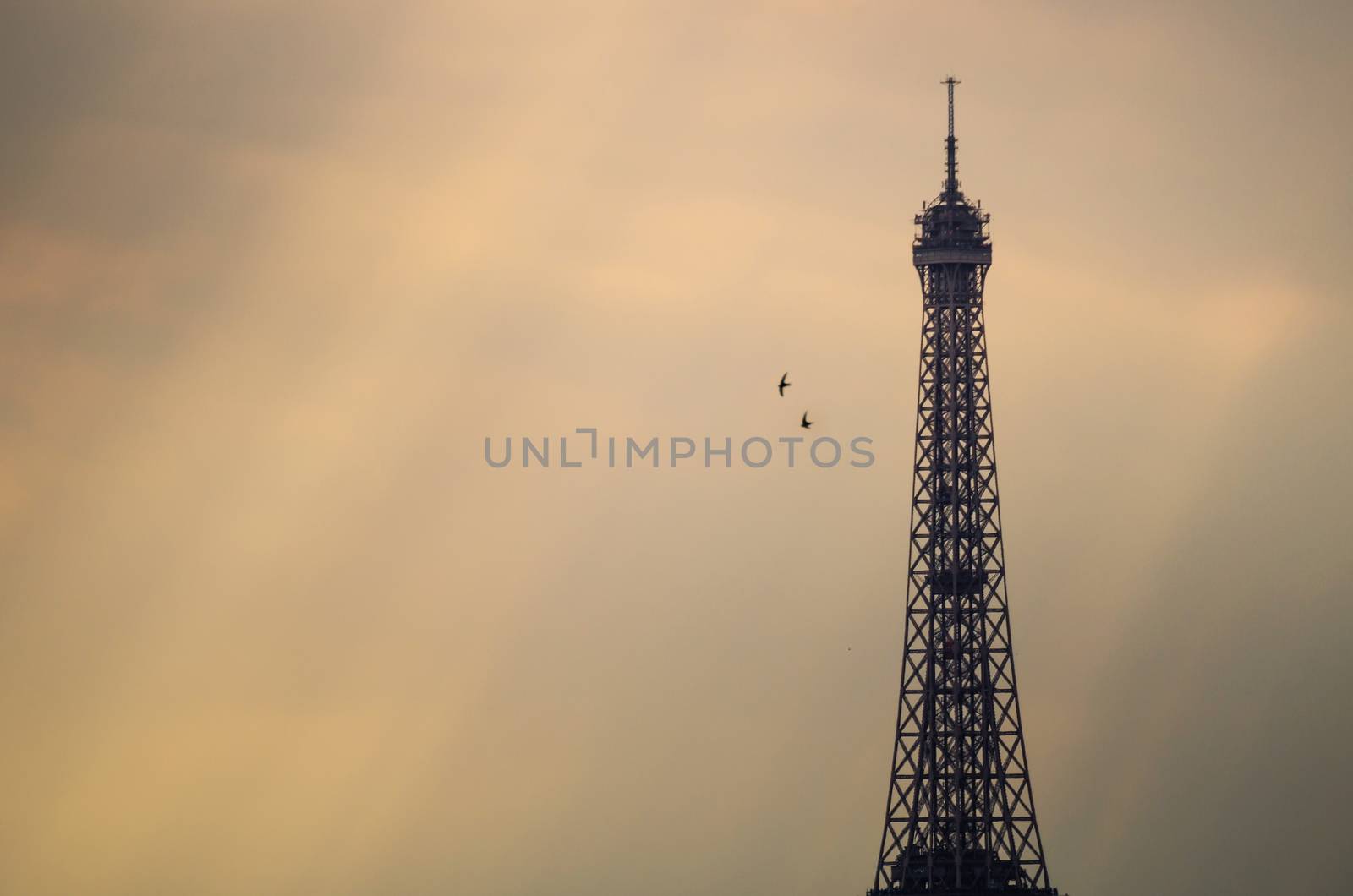 Eiffel tower in Paris with sunset