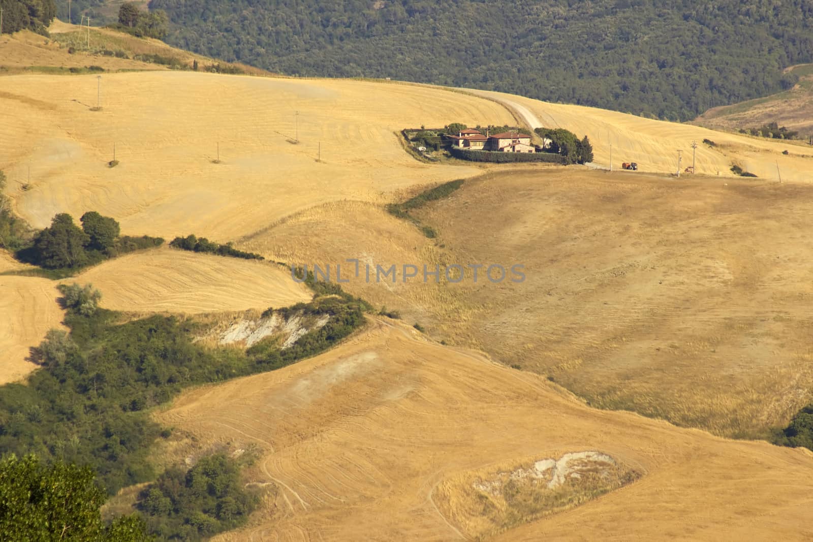 view of typical Tuscany landscape in summer, Italy by miradrozdowski