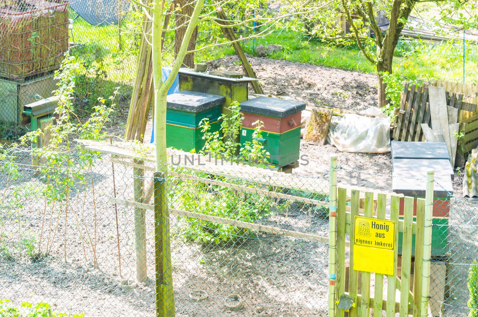 Honigbienenstöcke im Frühling in einem kleinen Garten.

Honey bee hives in the spring in a small garden.