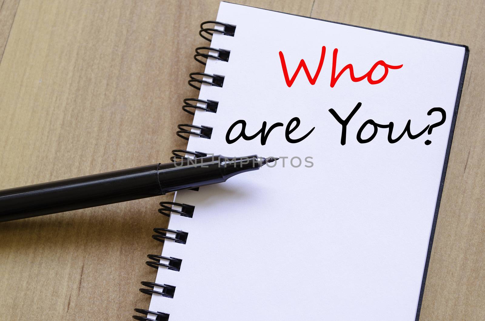 Who are you concept Notepad by eenevski