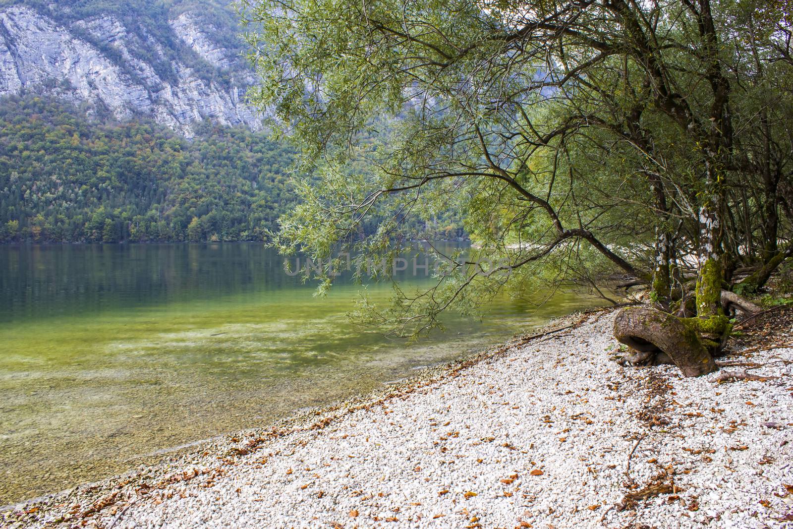 Bohinj lake, Slovenia by miradrozdowski