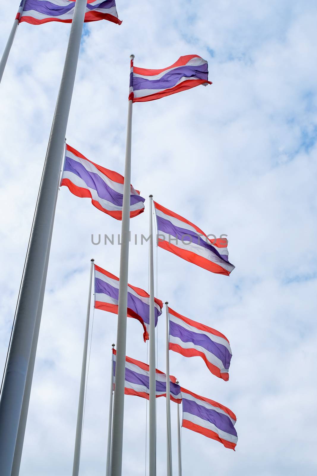 Group of Thai Flags