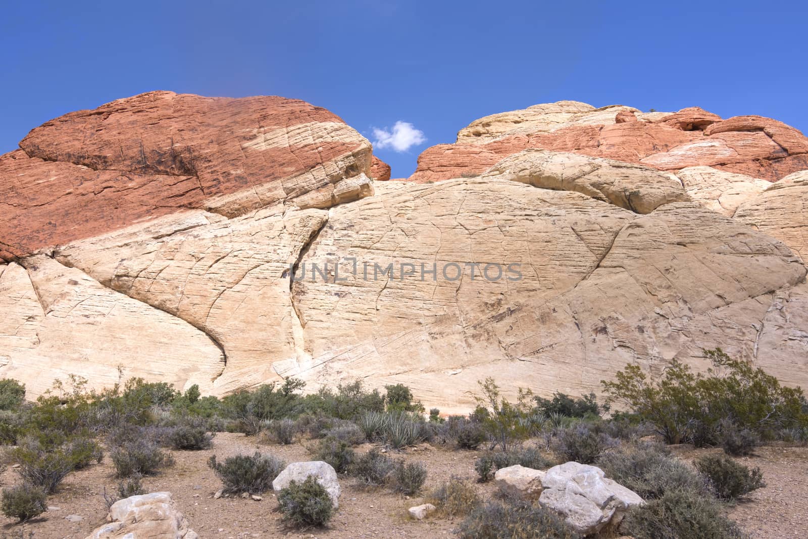 Colorful geological rock formations of Aztec sandstone in Red Rock Canyon conservation area in Nevada under clear blue sky in spring