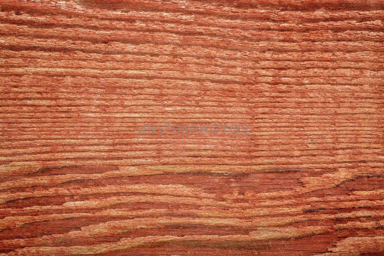 stained red weathered barn wood background  texture - macro shot