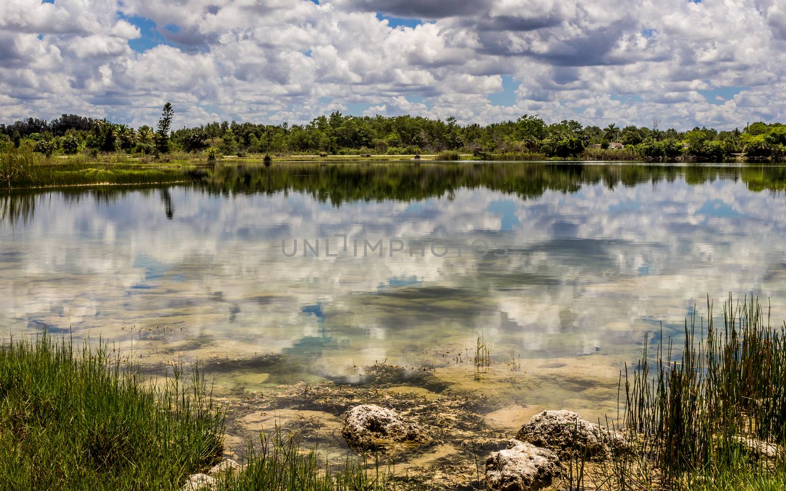 Florida Everglades Lake, Landscape, Day, Color Image