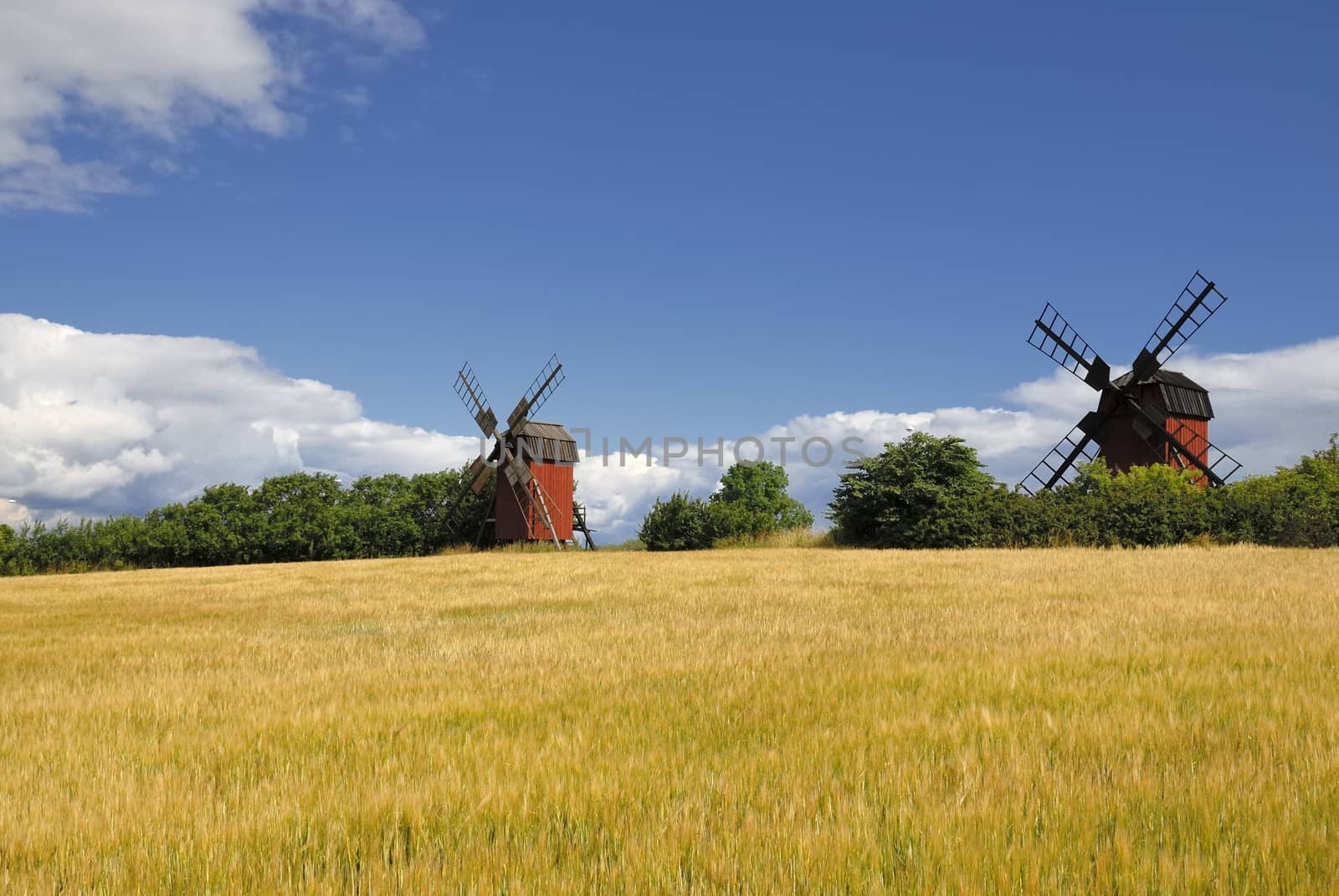 Windmill with field in a typical Swedish setting. Windmill is located in Öland, Sweden.