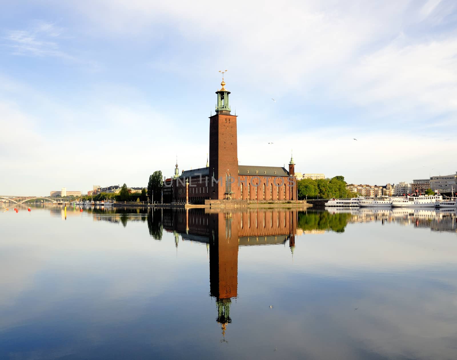 Stockholm City Hall with reflection on water.