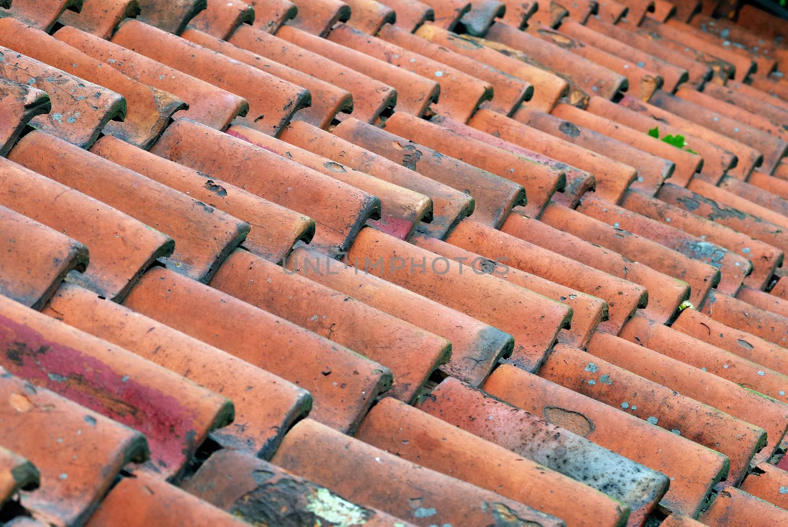 Red tiled roof